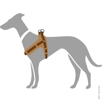 Illustration eines grauen Hundes, der ein braunes Geschirr mit zwei Metallringen trägt, mit einer Seitenansicht des Hundes.