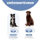Größentabelle für Hundenäpfe: Links - Mittlerer Hund (22,2 cm, 3,8 cm Schüssel) mit 2 Tassen; Rechts - Großer Hund (29,9 cm, 5,1 cm Schüssel) mit 4 Tassen.