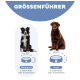Größentabelle für Hundenäpfe: Links - Mittlerer Hund (22,2 cm, 3,8 cm Schüssel) mit 2 Tassen; Rechts - Großer Hund (29,9 cm, 5,1 cm Schüssel) mit 4 Tassen.