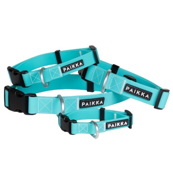 Glow Collar aqua 19 cm, 2 cm