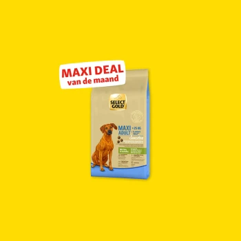 Select Gold Maxi Adult Sensitive hondenvoerzak voor honden boven 25 kg met eend en aardappel, gelabeld "Maxi Deal van de maand".