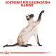 Illustration einer Siamkatze, die sich hochreckt, mit dem Text "SORTIMENT FÜR RASSEKATZEN: SIAMESE" deutlich darüber angezeigt.