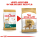 Zwei Royal Canin Hundefutterbeutel für Golden Retriever mit einem neuen Design, der Text lautet "NEUES AUSSEHEN, UNVERÄNDERTE REZEPTUR."
