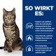 Eine getigerte Katze mit einem blauen Halsband sitzt aufrecht neben einem Text in deutscher Sprache, der die Vorteile eines Katzenfutterprodukts zur Gewichtskontrolle beschreibt.