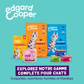 Paquets et boîtes Edgard Cooper pour chats avec chat dessin animé ; titre 'EXPLOREZ NOTRE GAMME COMPLÈTE POUR CHATS'.