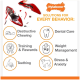 Kaputte rote High-Heel-Schuhe mit "Nylabone SOLUTIONS FOR EVERY BEHAVIOR:" und Icons für Kauen, Zahnpflege, Training, Gewicht, Zahnen, Stress.