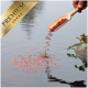 Eine Hand, die rote Fischfutterpellets aus einer Holzschaufel in ein ruhiges Gewässer gießt, mit einem "PREMIUM"-Label in der Ecke.