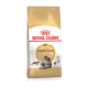 Sac de nourriture pour chats Royal Canin Adult Maine Coon avec une image de chat Maine Coon, avec un design doré et blanc et le logo de la marque.