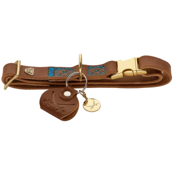 Brauner Lederhundehalsband mit blauen Nähten, goldenen Beschlägen und einem Anhänger mit gekreuzten Schwertern und einem kleinen Etikett.