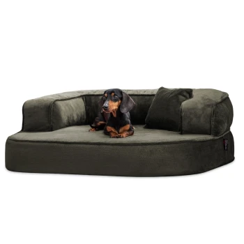 SHARLEEN VISCO PLUS - Orthopädisches Hundesofa mit kuscheligem Teddystoff dunkles olivgrün 80 cm, 30 cm, 60 cm Ein schwarz-brauner Dackel ruht auf einem plüschigen, olivgrünen Hundebett mit geschwungenem Design und einem kleinen Kissen.