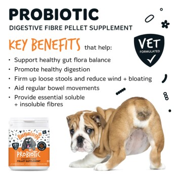 Dose mit PROBIOTIC Verdauungsfaser-Pellets (Bugalugs), Liste 'KEY BENEFITS', Siegel 'VET FORMULATED' und ein Bulldoggenwelpe