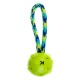 Helle grüne Gummiball, der an einem geflochtenen blauen und gelben Seil befestigt ist, entworfen für das Spielen mit Haustieren.