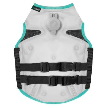 Ein Hundegeschirr in Grau mit türkisfarbenen Akzenten, ausgestattet mit verstellbaren schwarzen Riemen und Schnallen, entworfen für Komfort und Sicherheit.