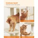 Verspielte orangefarbene Katze auf einem mehrstöckigen Baum mit Kratzpfosten und Spielzeugen. Text: "Endloser Spaß - Erforschen, kratzen oder spielen."
