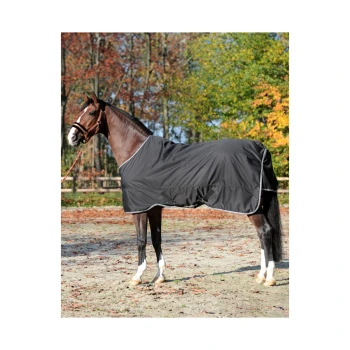 Ein braunes Pferd, das eine schwarze Decke trägt, steht in einem grasbewachsenen Bereich mit herbstlichem Laub im Hintergrund.