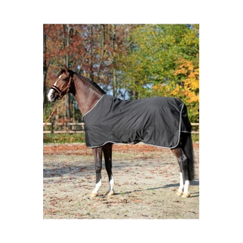 Ein braunes Pferd, das eine schwarze Decke trägt, steht in einem grasbewachsenen Bereich mit herbstlichem Laub im Hintergrund.