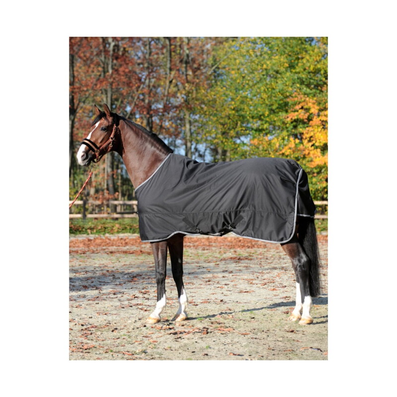 Kavalkade Regendecke Winnipeg 50 g 1,45 m