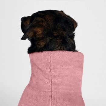 Ein stilvoller Hund in einem weichen rosa Fleece-Mantel, der vor einem rosa Hintergrund steht und nach oben schaut.