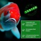 Platin KOI-MIX 3mm 10 kg