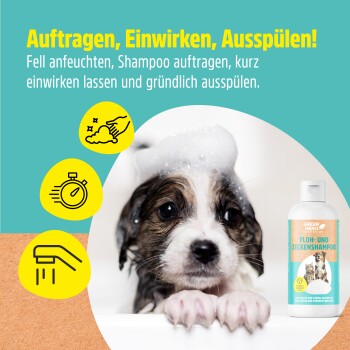 Ein schwarzer Hund mit einem weißen Fleck kratzt sich vor einem türkisfarbenen Hintergrund. Deutscher Text behauptet, es schützt vor Flöhen und Zecken.