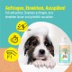 Ein schwarzer Hund mit einem weißen Fleck kratzt sich vor einem türkisfarbenen Hintergrund. Deutscher Text behauptet, es schützt vor Flöhen und Zecken.