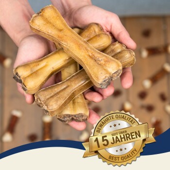 Zwei bunte Schalen gefüllt mit Hundeknochen, eine gelbe und eine grüne, auf einer Juteschnur-Oberfläche mit zwei weißen Seilspielzeugen in der Nähe.