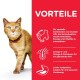Feline Science Plan Mature Adult 7+ Youthful Vitality 7 kg