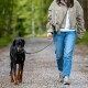 Person führt einen schwarz-braunen Dobermann an der Leine entlang eines kiesigen Waldwegs.