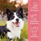Ein Behälter mit "SOFT UND YUMM" Hundetraining-Snacks mit Hähnchen und Lachs, pinkem Deckel, schwarzem Boden und Tierfutter darum herum.
