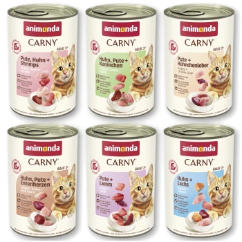 Sechs Animonda CARNY Katzenfutterdosen (Adult 1+) mit Bild einer orangefarbenen Katze, beschriftet mit Pute, Huhn, Lamm, Lachs, Leber
