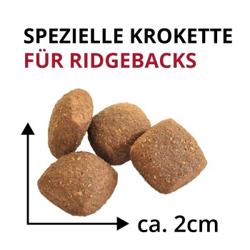 Vier braune Kroketten mit Pfeilen zur Größenangabe; Text 'SPEZIELLE KROKETTE FÜR RIDGEBACKS' und 'ca. 2 cm'.