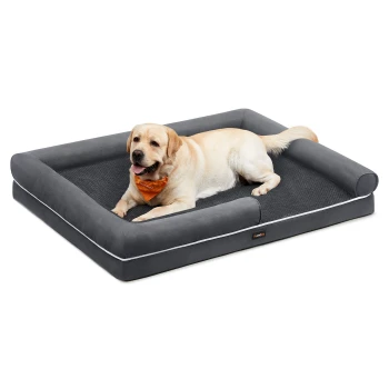 Orthopädisches Hundebett, Hundekissen, erhöhte Ränder, abnehmbar und waschbar schiefergrau XXXL Gelber Labrador mit orangefarbener Halsbinde auf grauem Hundebett mit erhöhtem Rand und kleinem Markenetikett vorne (Text nicht lesbar).