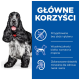 Czarnobiały Cocker Spaniel z czerwoną obrożą obok tekstu o bezglutenowym, wysokiej jakości białku i zrównoważonych minerałach dla zdrowia.