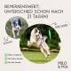 Vorher-Nachher-Bild eines Hundes: links, müde ("VORHER"); rechts, energetisch, der einen Frisbee fängt ("NACHHER"). Hebt 21 Tage Verbesserungen hervor.