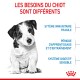 Un mignon chiot noir et blanc est assis au centre avec le texte : "LES BESOINS DU CHIOT SONT DIFFÉRENTS" et des détails clés sur les soins.