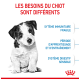 Un mignon chiot noir et blanc est assis au centre avec le texte : "LES BESOINS DU CHIOT SONT DIFFÉRENTS" et des détails clés sur les soins.