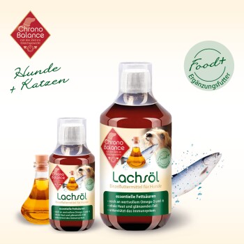 Lachöl (Lachsöl) für Hunde und Katzen von Chrono Balance, mit zwei Flaschen mit essentiellen Fettsäuren, die gesunde Haut und Fell fördern.