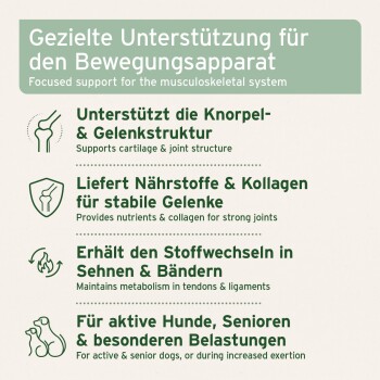 Gezielte Unterstützung des Bewegungsapparats — unterstützt Knorpel, Kollagen, Sehnen; für aktive und ältere Hunde