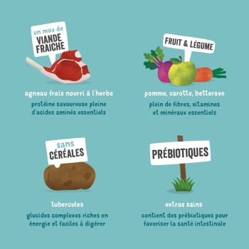 Image des ingrédients de la nourriture pour animaux : agneau nourri à l'herbe, fruits, légumes, tubercules et prébiotiques, mettant en avant leurs bienfaits pour la santé.