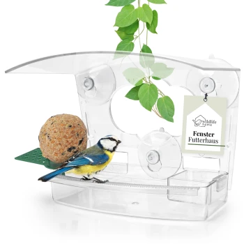 Ein klarer Vogelhäuschen mit einem Blauäugigen, der auf der Seite sitzt, einem Futterball und einer grünen Plattform, beschriftet mit "Fenster Futterhaus."