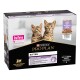 Purina Pro Plan kitten food box featuring two playful tabby kittens on the front, labeled "Healthy Start" with turkey in gravy.