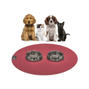 Ein brauner Hund, ein flauschiges Kätzchen und eine schwarze Katze sitzen vor einer roten Haustiermatte mit zwei Edelstahlschüsseln, beschriftet mit "Sanozoo."