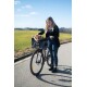 Pet Fahrradtasche Vacation für kleine Hunde, Grau/Blau