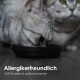 Zwei graue Katzen essen aus einer schwarzen Schüssel auf einem Holzboden. Der Text lautet: "Allergikerfreundlich 100% Porzellan & spülmaschinenfest."
