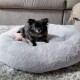 Ein kleiner schwarzer Chihuahua, der auf einem plüschigen grauen Hundebett ruht, mit einem rosa Spielzeug neben ihm, vor einem gemütlichen Wohnzimmer-Hintergrund.