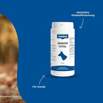 Canina-'Senior Vital'-Supplementflasche für Hunde vor blauem Hintergrund; sichtbarer Text: 'Senior Vital', 'Für Hunde'.