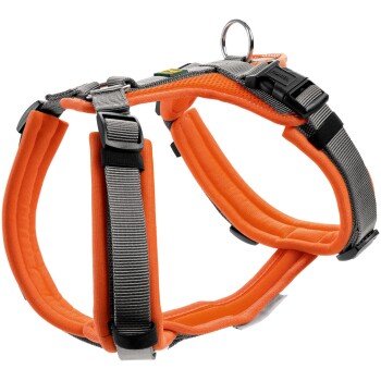 Orange und grahene Hundegeschirr mit verstellbaren Riemen und einem metallenen D-Ring zur Leinenbefestigung.
