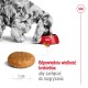 SHN Medium Adult 2x15 kg