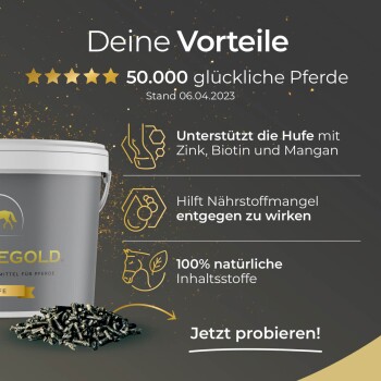 Werbebild des Pferdegold-Pferdeergänzungsmittels in einem grauen Eimer. Unterstützt die Hufe, bekämpft Mängel, 100% natürlich. "Jetzt probieren!"