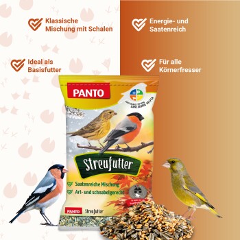 Ein Haufen verschiedener Vogelsamen, einschließlich Sonnenblumenkerne, Hirse und anderen Körnern, auf einem weißen Hintergrund.